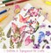 Wrapables Pressed Flower Themed PET Stickers for Scrapbooking, Junk Journals, Stationery, Card Making, DIY, Arts and Crafts, Water Bottles, Phones, Laptops (480pcs), 36 Sheets
